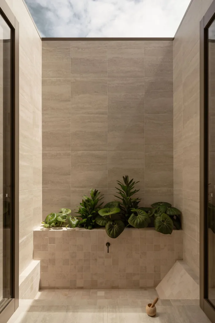 Planting set into a travertine ledge beneath an open skylight at ZOEI.