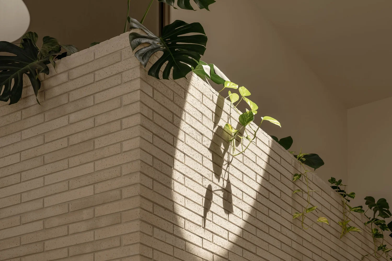 Afternoon light and leaf shadow falling across a textured brick wall at ZOEI, a Gold Coast photoshoot location.