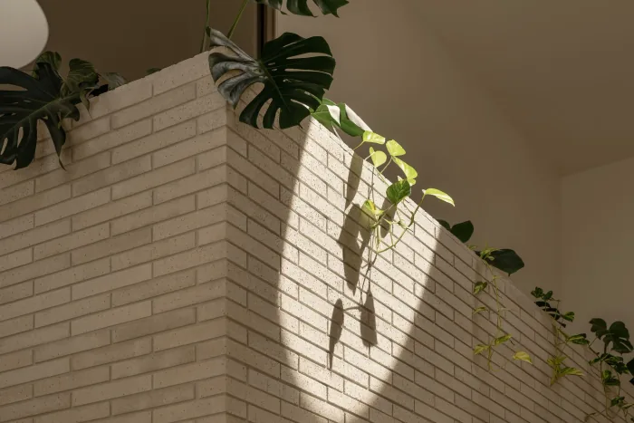 Leaf shadow and trailing greenery across a brick courtyard wall at ZOEI.